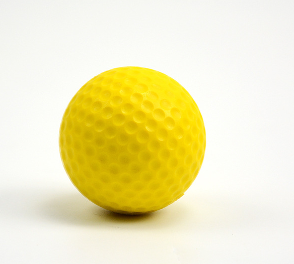 The Golf Bloom Foam Practice Balls